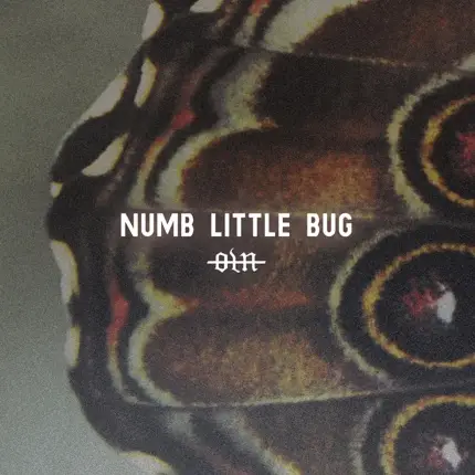 Our Last Night : Numb Little Bug